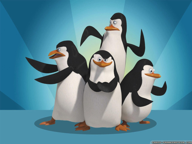 Penguins group blue background image free wallpaper for desktop - medium preview image