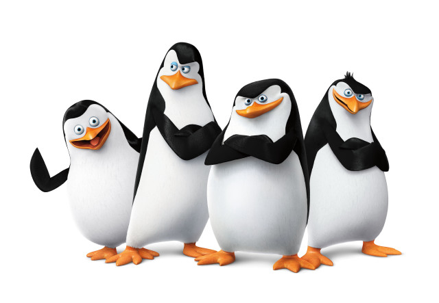 Penguins group white background middle free wallpaper for desktop - medium preview image