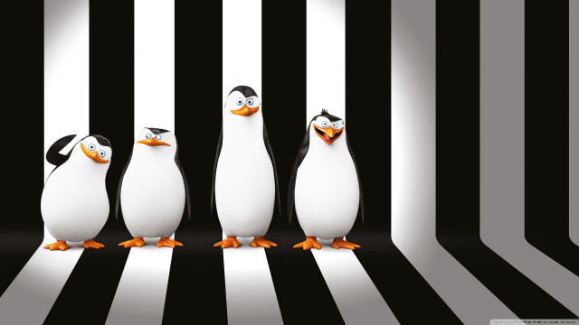 Penguins striped room black white free wallpaper for desktop - medium preview image