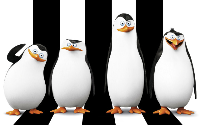 Three penguins striped background middle free wallpaper for desktop - medium preview image