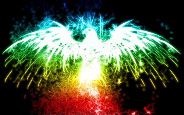 Colorful bird wings spread out free wallpaper for desktop - medium preview image