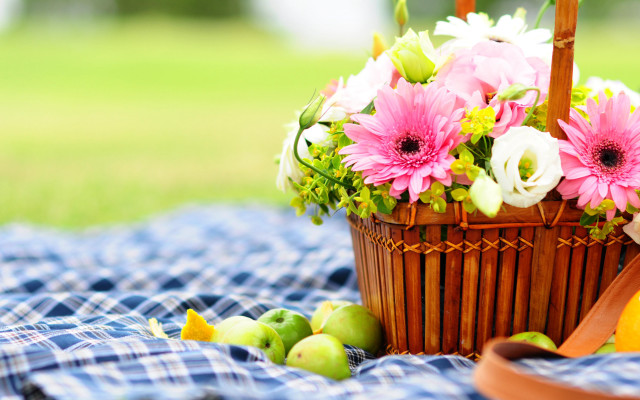 Basket flowers blanket apples pears free wallpaper for desktop - medium preview image