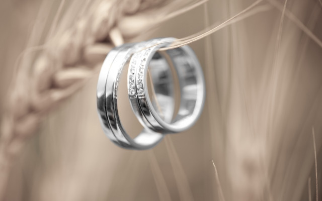 Wedding rings wheat sepia grain free wallpaper for desktop - medium preview image