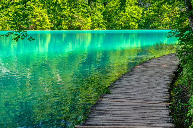 Wooden path lake trees magic free wallpaper for desktop - medium preview image