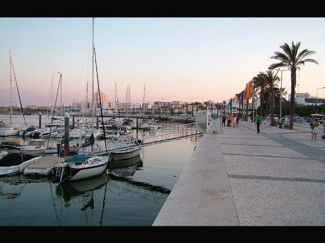 Marina boats palm trees sunset free wallpaper for desktop - medium preview image