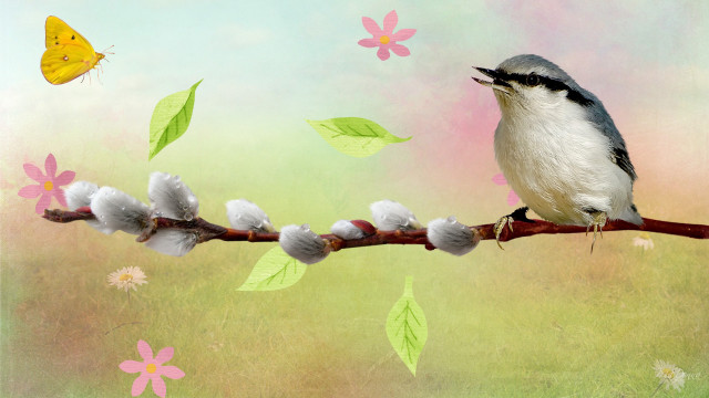 Bird branch butterfly flower background free wallpaper for desktop - medium preview image