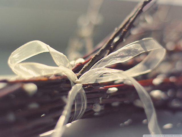 Sticks bow ribbon closeup image free wallpaper for desktop - medium preview image