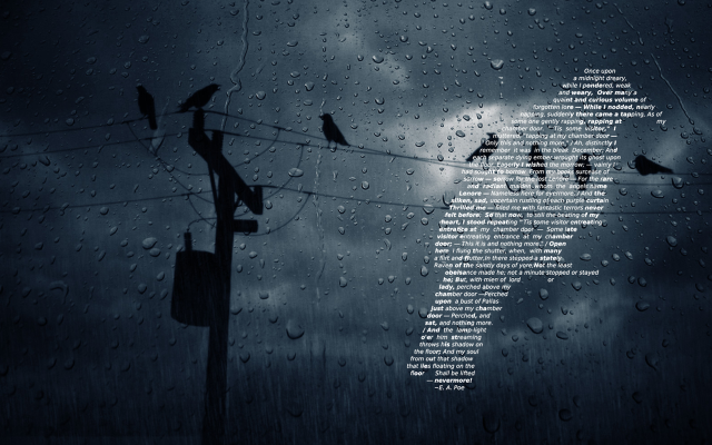 Birds power line rain sky free wallpaper for desktop - medium preview image