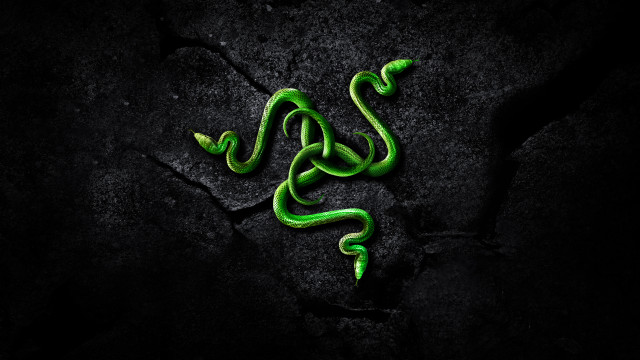 Green snake black surface cobra free wallpaper for desktop - medium preview image