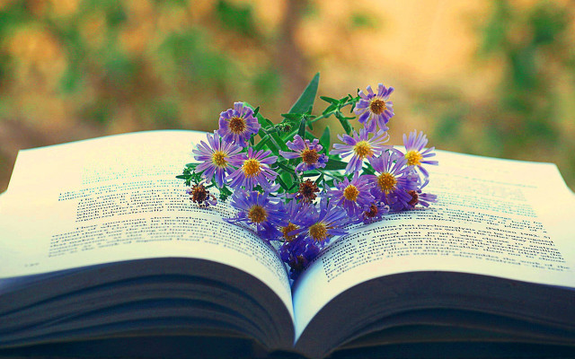 Book flowers table outside purple free wallpaper for desktop - medium preview image