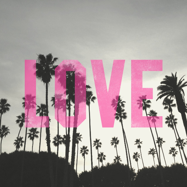 Pink love sign palm trees free wallpaper for tablet - medium preview image