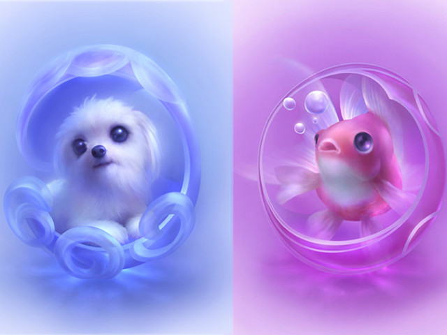 Dog bubble fish inside bubble free wallpaper for desktop - medium preview image