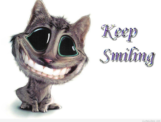 Cat big eyes smile keep free wallpaper for desktop - medium preview image