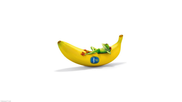 Banana frog side blue button free wallpaper for desktop - medium preview image