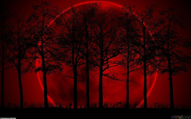 Red moon autumn bamboo gothic free wallpaper for desktop - medium preview image