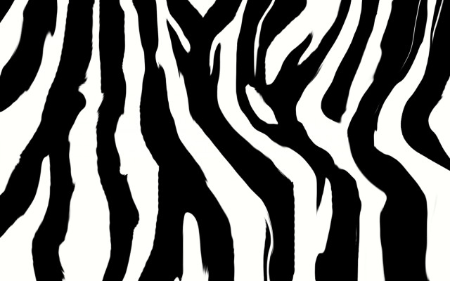 Zebra print pattern black white free wallpaper for desktop - medium preview image