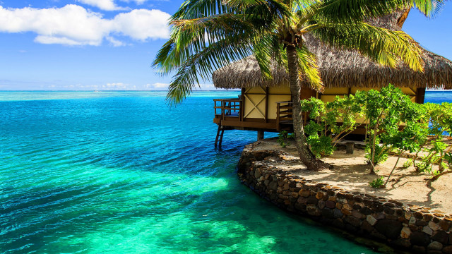 Hut beach palm tree dock free wallpaper for desktop - medium preview image