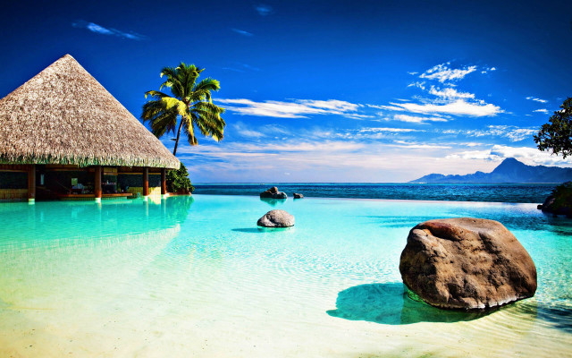 Tropical beach pool hut palm free wallpaper for desktop - medium preview image