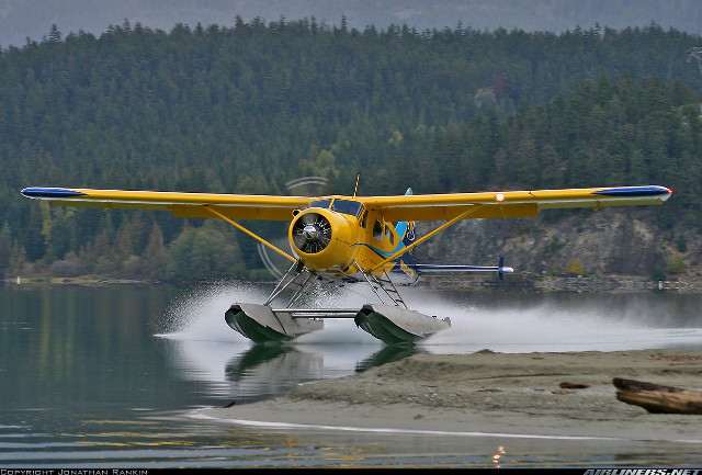 Yellow plane landing water forest free wallpaper for desktop - medium preview image