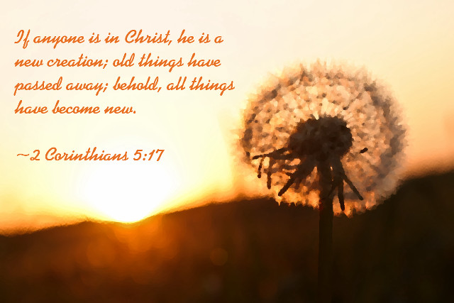 Dandelion bible verse sunset quote free wallpaper for desktop - medium preview image