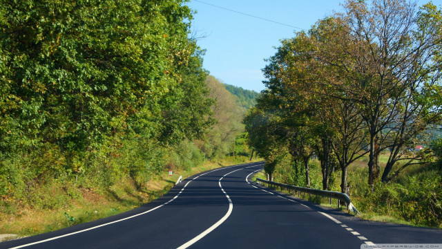 Curved road surrounded by trees free wallpaper for desktop - medium preview image