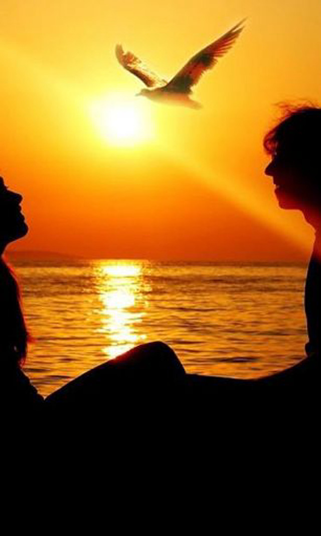 Beach couple sunset birds romantic free wallpaper for mobile - medium preview image