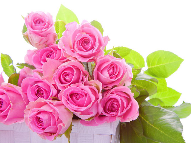 Pink roses white basket green free wallpaper for desktop - medium preview image
