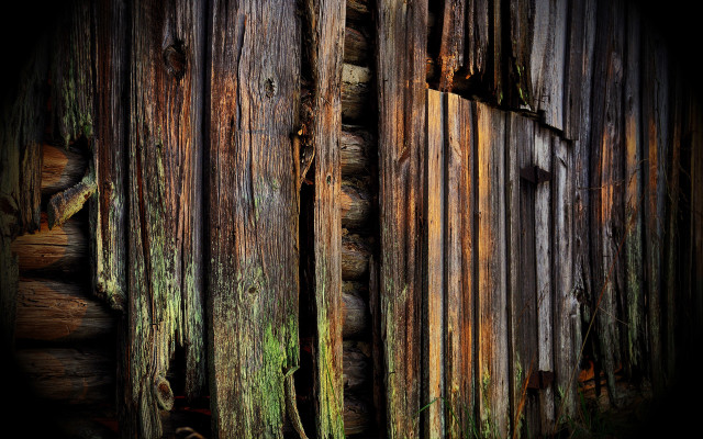 Wooden wall moss growing door free wallpaper for desktop - medium preview image