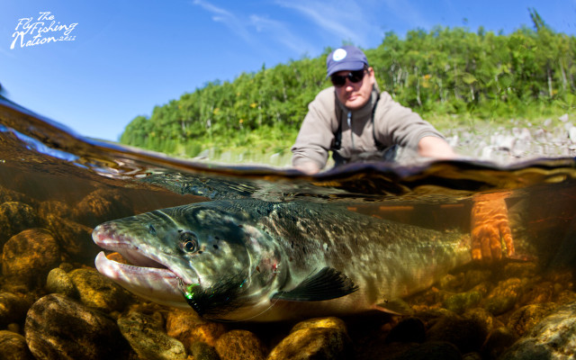 Man water fish hand fish free wallpaper for desktop - medium preview image