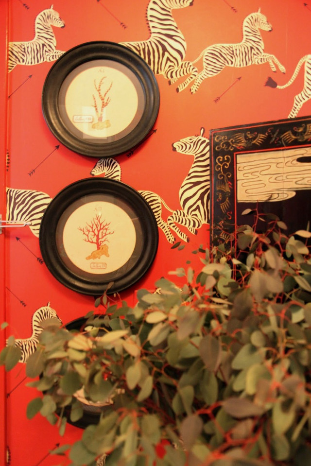 Red wall zebras mirror plant free wallpaper for mobile - medium preview image