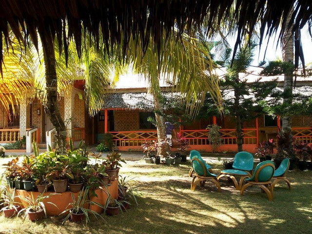 Lawn chairs plants house thatched free wallpaper for desktop - medium preview image