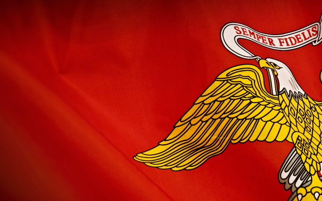 Flag bird banner back says free wallpaper for desktop - medium preview image
