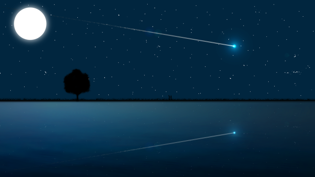 Tree night star moon bright free wallpaper for desktop - medium preview image