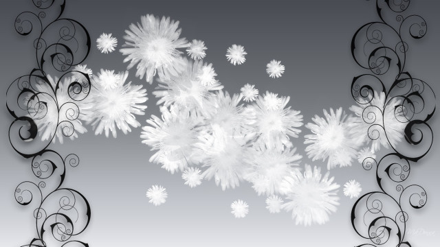 Snowflakes black white gray background free wallpaper for desktop - medium preview image