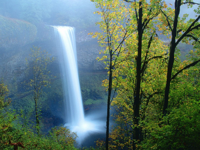 Waterfall forest fog autumn bench free wallpaper for desktop - medium preview image