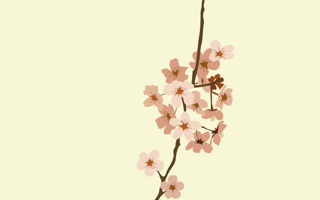 Branch pink flowers light background free wallpaper for desktop - medium preview image