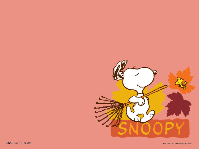 Snoopy cartoon character broom leaf free wallpaper for desktop - medium preview image