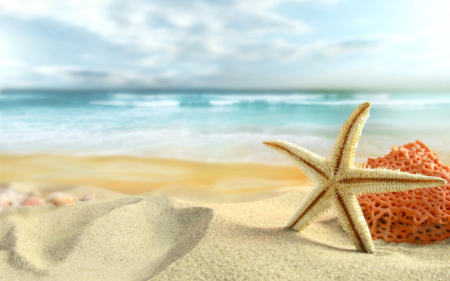 Starfish sandy beach ocean blue #2 free wallpaper for desktop - medium preview image