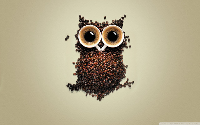 Coffee owl coffee beans eyes #2 free wallpaper for desktop - medium preview image