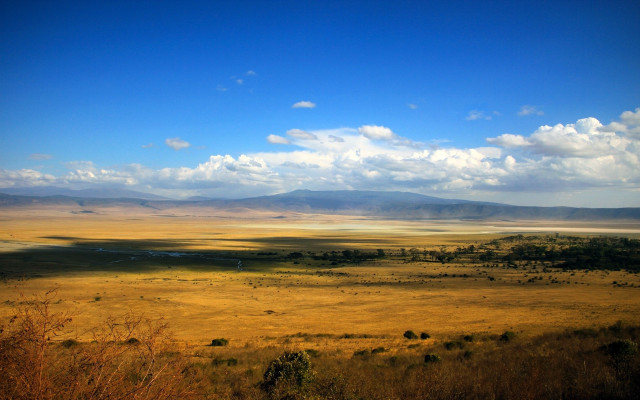 Vast open plain trees mountains free wallpaper for desktop - medium preview image