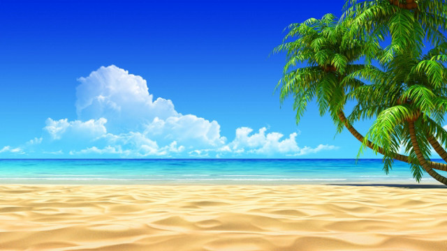 Palm tree beach sky clouds free wallpaper for desktop - medium preview image