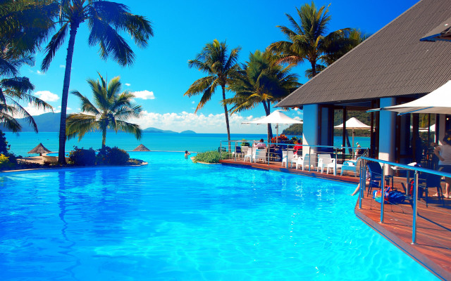 Ocean pool palm trees art free wallpaper for desktop - medium preview image