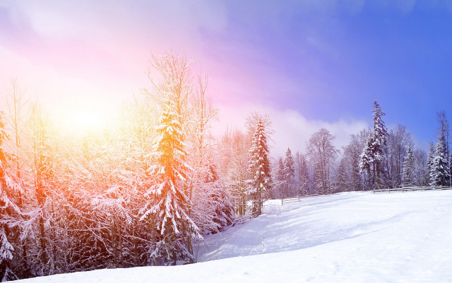 Snowy hill trees sun blue free wallpaper for desktop - medium preview image