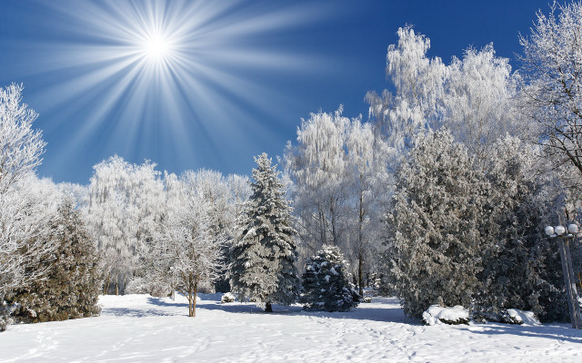 Sunny winter day snow covered #2 free wallpaper for desktop - medium preview image