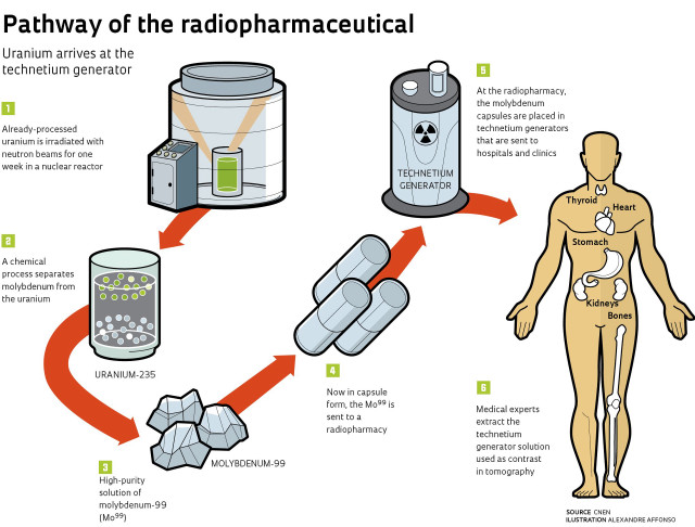 Radiopharmaceutical pathway diagram human body free wallpaper for desktop - medium preview image
