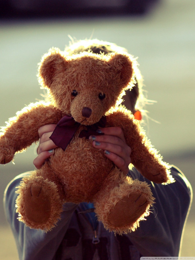 Person holding teddy bear hat free wallpaper for mobile - medium preview image