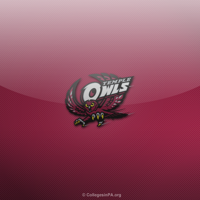 Pink wall logo owl side free wallpaper for tablet - medium preview image