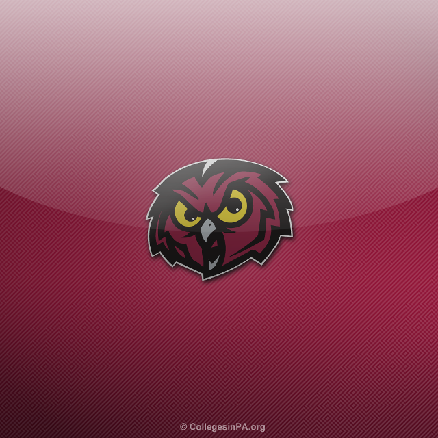 Red black owl yellow eyes free wallpaper for tablet - medium preview image