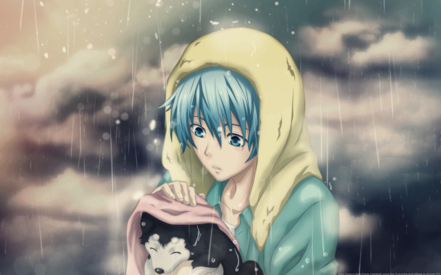 Blue hair holding dog rain free wallpaper for desktop - medium preview image