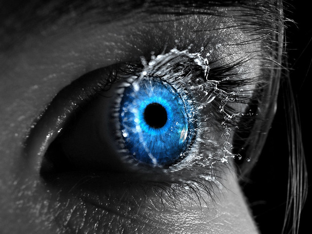 Blue eye closeup black white free wallpaper for desktop - medium preview image
